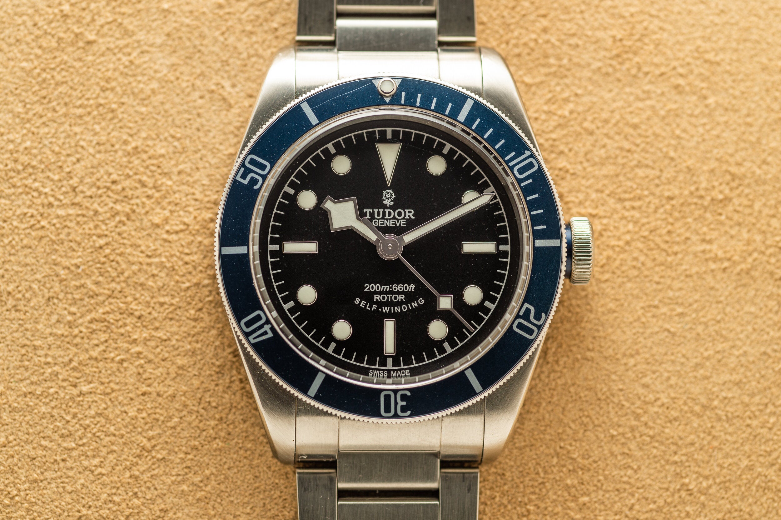 Tudor watch rose logo sale